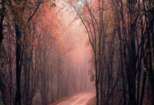 [中超]第28轮：成都蓉城VS上海海港.