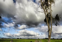 28圈官网：[澳网]王曦雨无缘澳网女单32强.