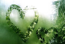 28圈官网：里程碑，大马丁迎来阿根廷国家队生涯第次出场.