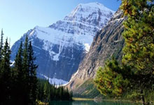 28圈官网：佩莱格里尼：佛罗伦萨和贝蒂斯有望在欧协联半决赛相遇.