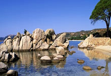 [中超]第28轮：成都蓉城VS上海海港.